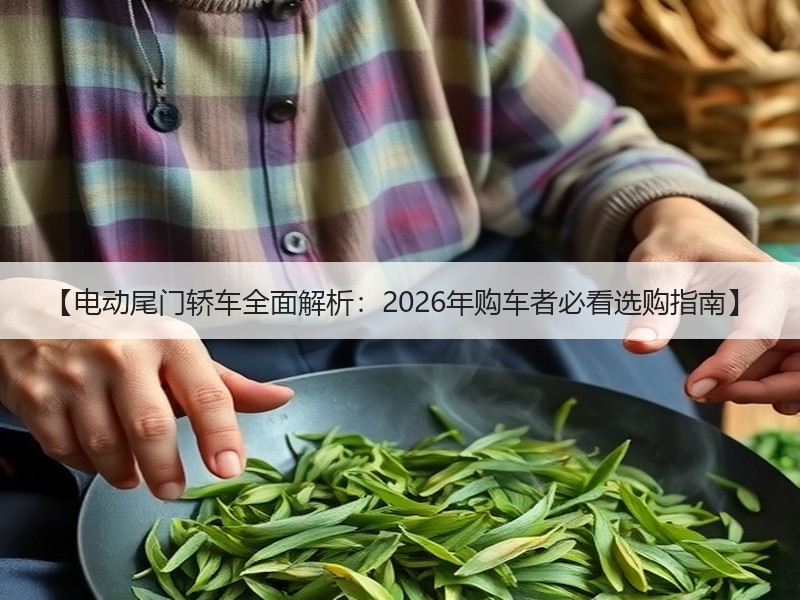 【电动尾门轿车全面解析：2026年购车者必看选购指南】