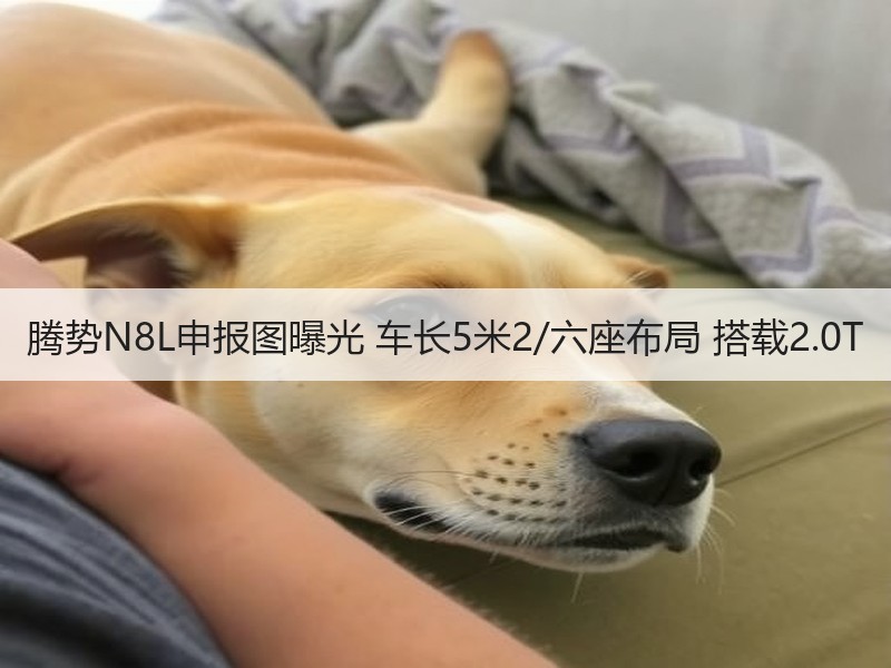 腾势N8L申报图曝光 车长5米2/六座布局 搭载2.0T