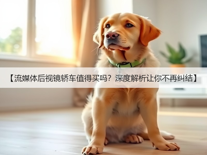 【流媒体后视镜轿车值得买吗？深度解析让你不再纠结】