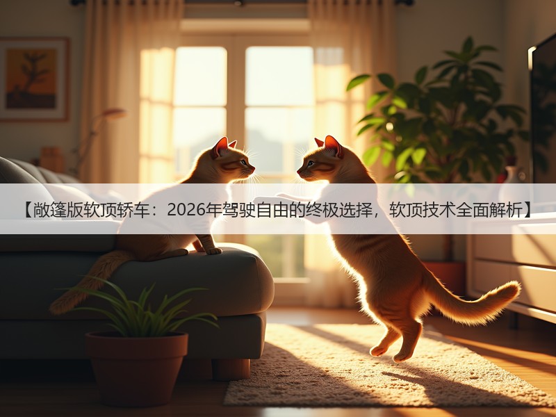 【敞篷版软顶轿车：2026年驾驶自由的终极选择，软顶技术全面解析】