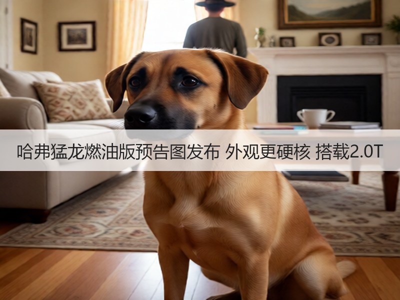 哈弗猛龙燃油版预告图发布 外观更硬核 搭载2.0T