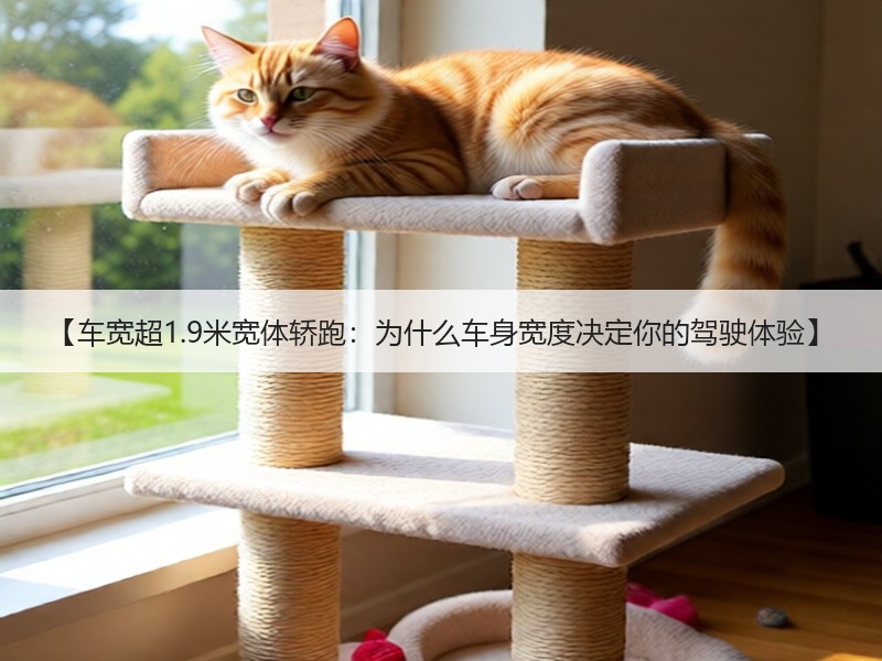 【车宽超1.9米宽体轿跑：为什么车身宽度决定你的驾驶体验】