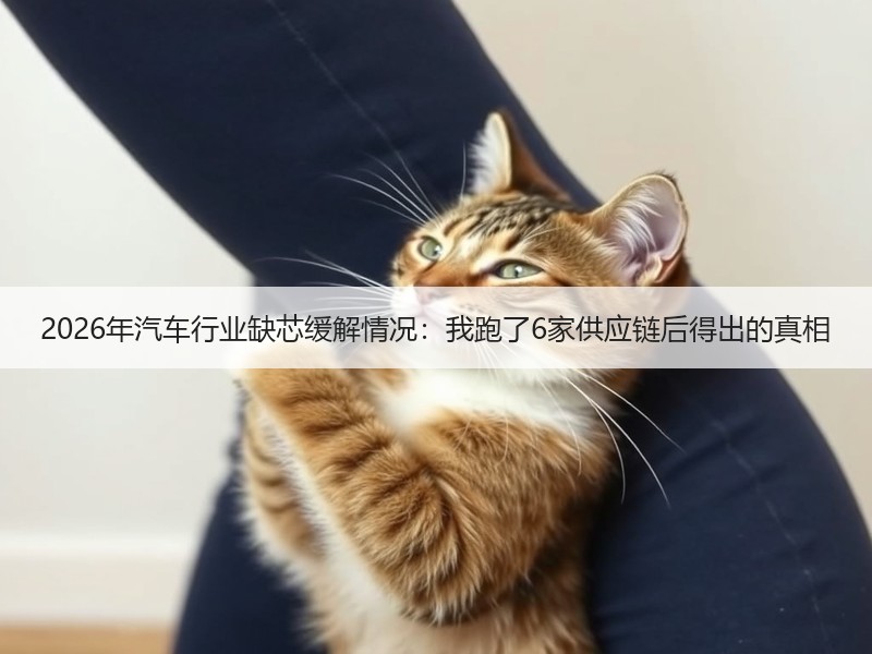2026年汽车行业缺芯缓解情况：我跑了6家供应链后得出的真相