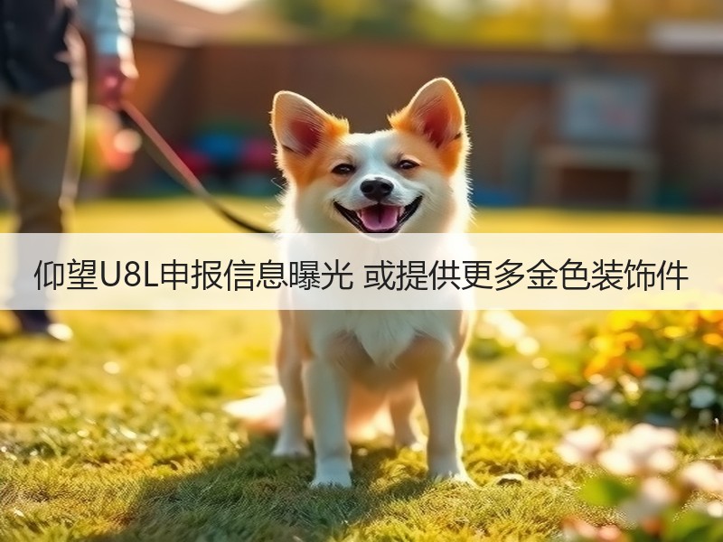 仰望U8L申报信息曝光 或提供更多金色装饰件