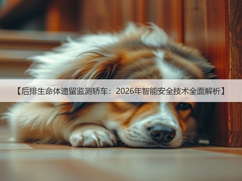 【后排生命体遗留监测轿车：2026年智能安全技术全面解析】