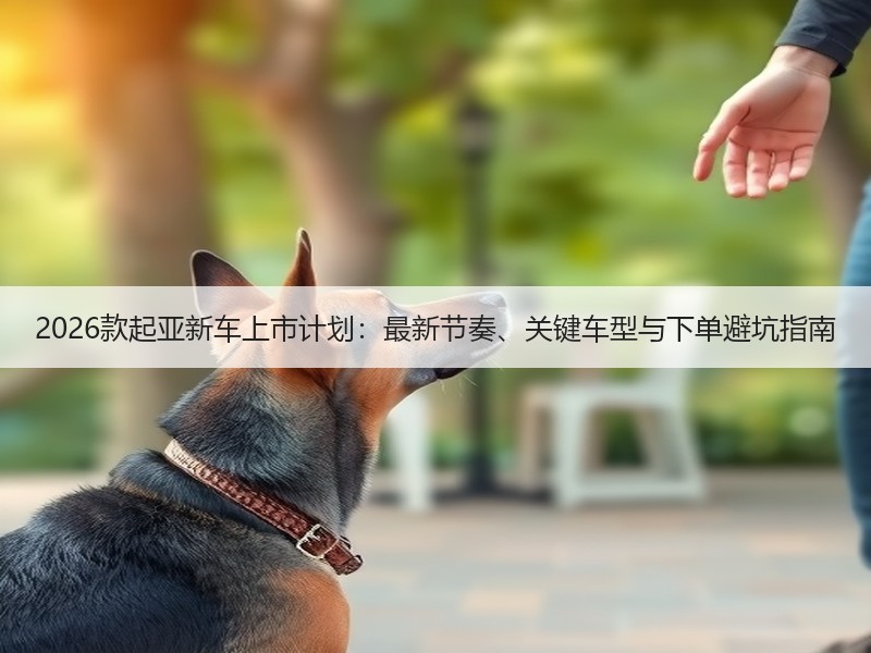 2026款起亚新车上市计划：最新节奏、关键车型与下单避坑指南